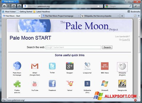 સ્ક્રીનશૉટ Pale Moon Windows XP