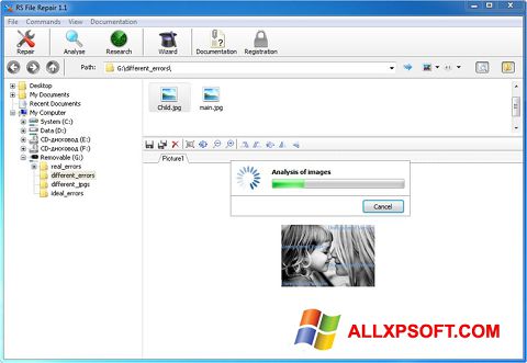 સ્ક્રીનશૉટ RS File Recovery Windows XP