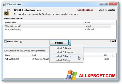 સ્ક્રીનશૉટ IObit Unlocker Windows XP