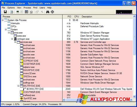 સ્ક્રીનશૉટ Process Explorer Windows XP