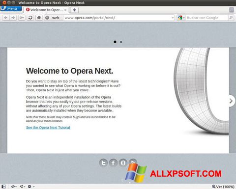 સ્ક્રીનશૉટ Opera Developer Windows XP